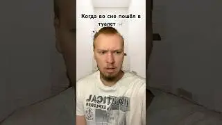 Когда во сне пошел в туалет 🚽 Подпишись! Тг в описании #shortvideo #рекомендации #memes #тренды