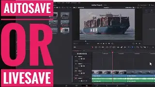 Auto save your project and timeline!