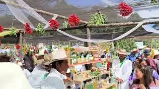 Feria de productos artesanales - Ciénega del oso 1 Mezq Dgo.