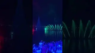 inauguração da iluminação de Natal