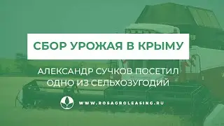 Сбор урожая в Крыму