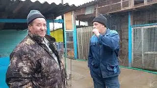 Простые сельские голуби в селе Отказное !