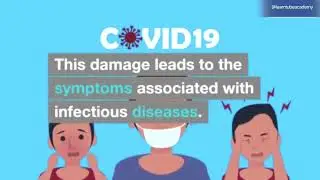 Immunity | infection | Covid-19 | virus | disease | HIV | Research | 5 million views | paper | exam