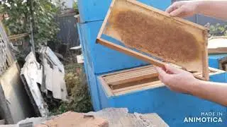 Борьба с молью. Результат.