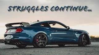 2021 Mustang GT500 Drag Strip Struggles Continue
