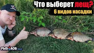 На что ловить леща осенью. Что выберет лещ? Что нужно знать, чтобы поймать? Как ловить Крупного Леща