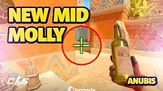 Anubis CS2 - New Mid Molly