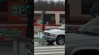 Tree 'em and Leave 'em (blast from my past!)