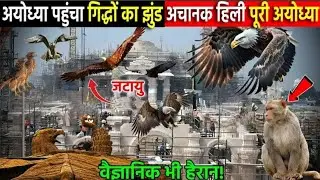 अयोध्या पहुंचे जटायु विज्ञानिक हुए हैरान 😱 | Ram Mandir | Ram mandir ayodhya | #rammandir #ram