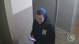 Гости форшмачат подъезд.