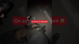 C’est chaud 😱😱 #chien #malinois #nino #workingdog