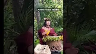 Experience the Rhythms of Hawaii with Authentic Pahu Drum Performances 🥁🌺