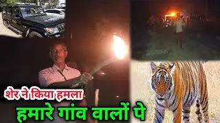 शेर ने किया हमला || हमारे गांव वालों पे | Gayatri raj vlogs