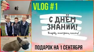 VLOG#1 1 сентября! Ник пошел в 3 Б! Купили Ipad в подарок! Прогулка в лесу!