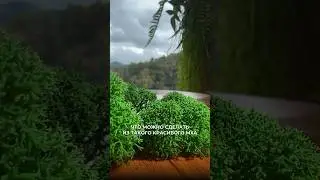 Как создать экодекор ⬇️