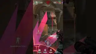 This is why the Recon Phantom skin is the best