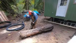Man Carves Log Into A Mushroom With Chainsaw