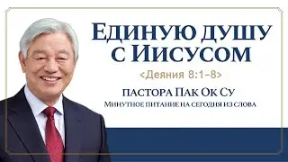 № 4. «Единую душу с Иисусом»