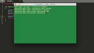 Printing in the C Programming Language
