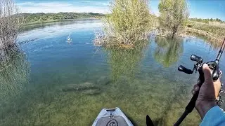 Best day of fishing so far in 2025