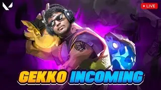 Playing Gekko  