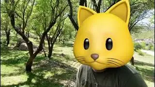 Kediyle fare