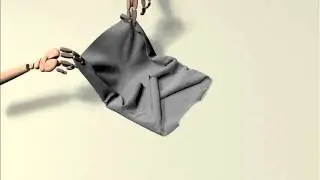 Dexterous Manipulation of Cloth