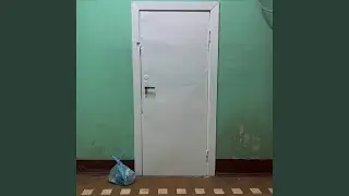 ХИККА ЛАЙФ