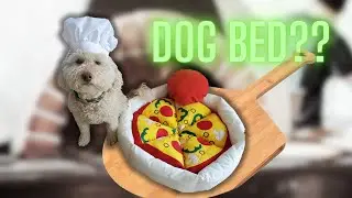 Pizza Pie Dog Bed! and it’s Adorable - DIY Pet Bed