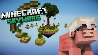 Тот самый SkyWars || Возвращение VimeWorld ||Тащим на СкайВарс