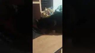 Кушаем крекеры