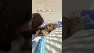 а это не ребенок чтоли?