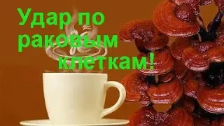 Приятного чайпития с грибом рейши.Удар по раковым клеткам.