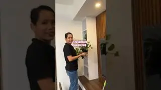 S Residences Homestyling