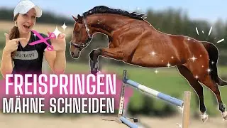 MÄHNE SCHNEIDEN, FREISPRINGEN, PFERD WASCHEN | kommt mit an den Stall🐴