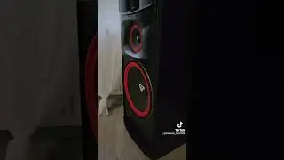 Cerwin vega xls 15 bass i love you
