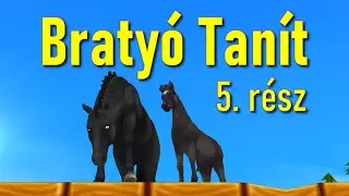Bratyó tanít 5. rész - a kedvenc állat