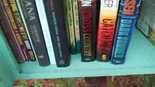 BookTube: Replenishing the Little Free Library - 12-21 (Part 11)