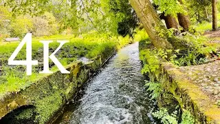 Tourist Place - Beautiful Snaps & Real Birds Sound - 