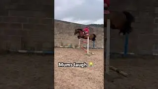Troy Airlines ✈️ mums laugh 😹 #horse #equestrian #showjumping #horseriding #pony #horselover