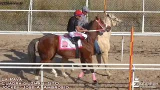 🔥LA REINA👸DE GUANAJUATO & JALISCO. Pava🦃🆚Nvo Belico⭐  Carril San Angel, JAL.