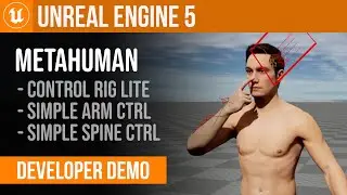 Simple Arm and Spine | MetaHuman Control Rig Lite