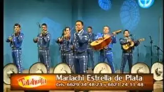 " Avisame " " Mariachi Estrella De Plata "