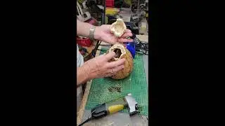 Feather Gourd #shorts