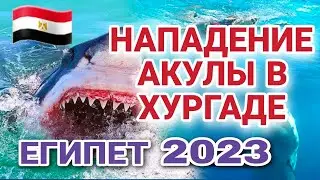 АКУЛА РАЗОРВАЛА РОССИЙСКОГО ТУРИСТА В ХУРГАДЕ. ОПАСНЫЕ ПЛЯЖИ ЕГИПТА.
