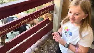 Audrey Petting Goats at Gatlinburg!