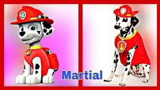Paw Patrol Dogs In Real Life 2020 | Paw Patrol All Chararcters In Real Life | Cartoons in real life
