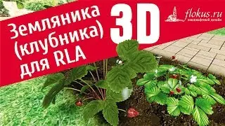 Strawberry 3D. Additional plant base for Realtime Landscaping Architect