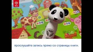Обзор Книги 