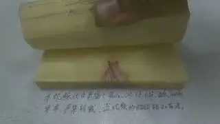 DUSTTRUTS BOOK